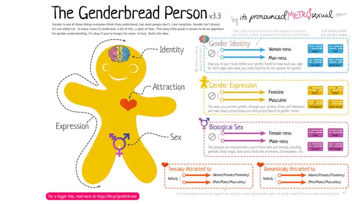 Gender Identity and Expression